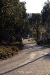 Rua em Alvarenga