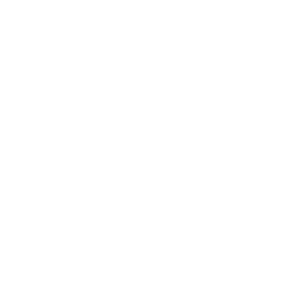 Logótipo DVR - fotografias360.com